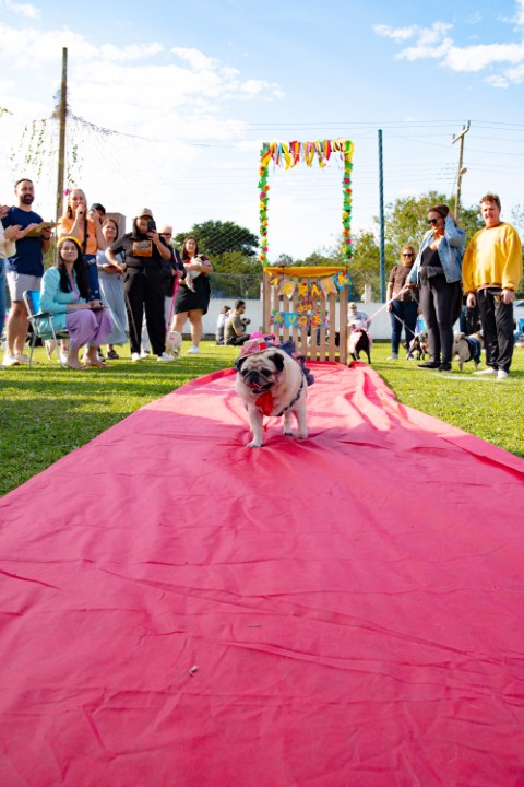 Foto do Pugnic 2026